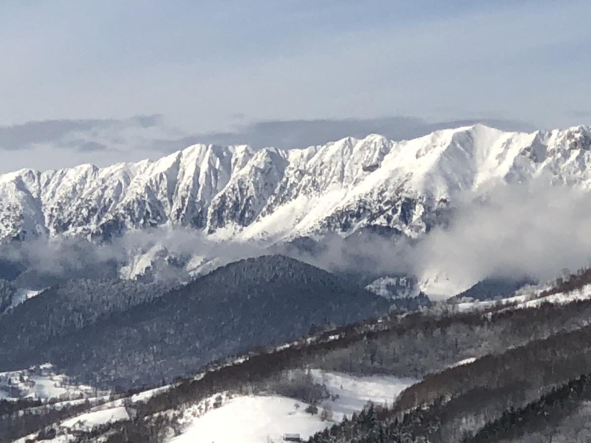 Bran Monte Crai Chalet Eksteriør bilde