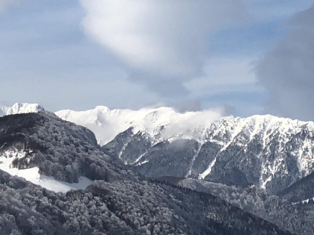 Bran Monte Crai Chalet Eksteriør bilde